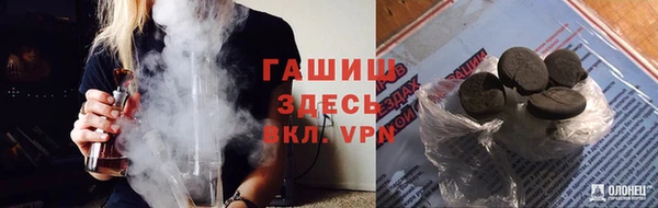 шишки Бородино