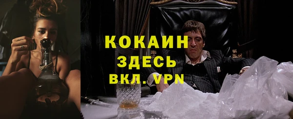 шишки Бородино