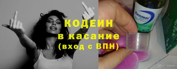 шишки Бородино