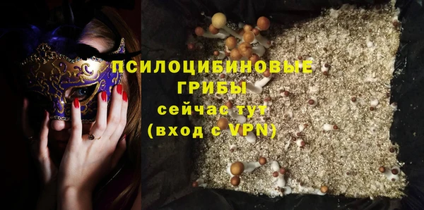 шишки Бородино