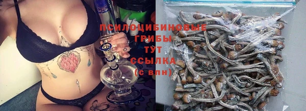 шишки Бугульма