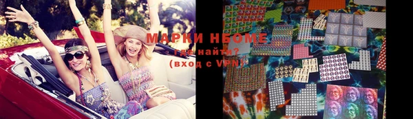 шишки Бородино