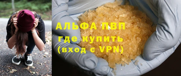 шишки Бородино