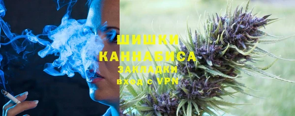 шишки Бугульма