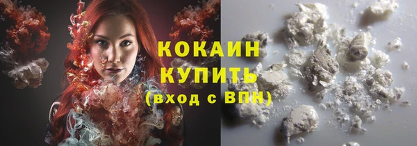 шишки Бородино
