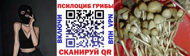 Псилоцибиновые грибы мицелий  Шелехов 